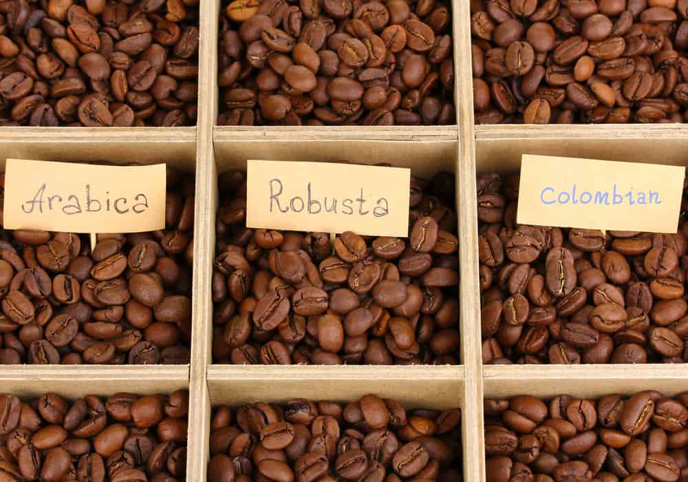 Arabica Vs. Colombian Vs. Robusta Coffee Beans What's the Difference