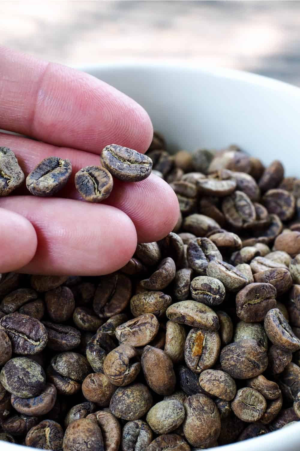 How to tell coffee Beans has Gone Bad