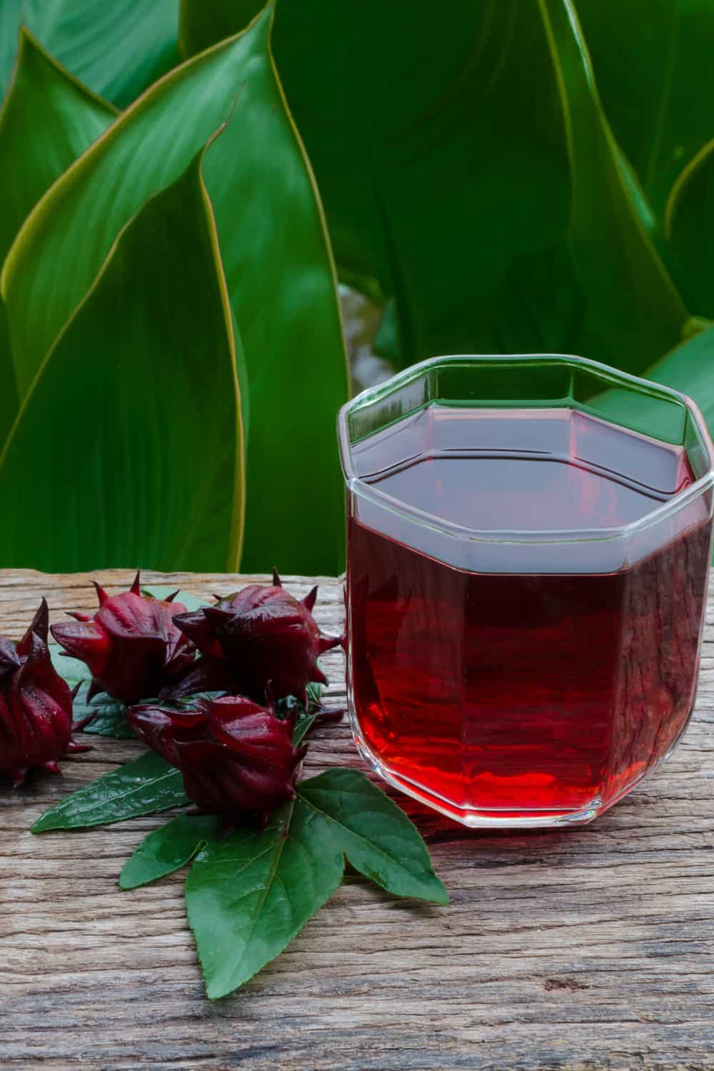 What is Sorrel Drink Good for