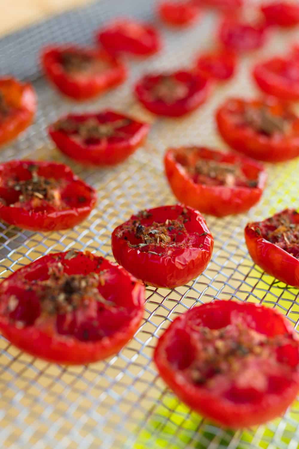 14 Easy Homemade Solar Dehydrator Plans