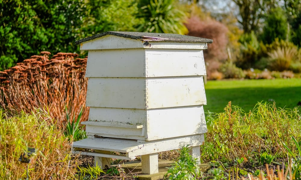 Build Your Own Beehive