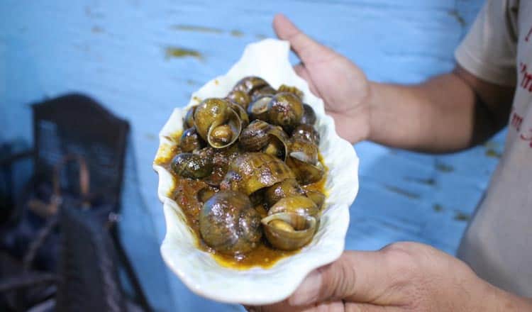 Cambodian Street Food Snails