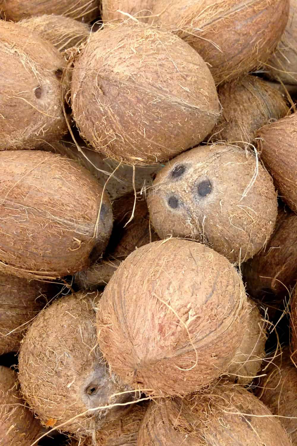 How Long Does Coconut Last? (Tips to Store for Long Time)