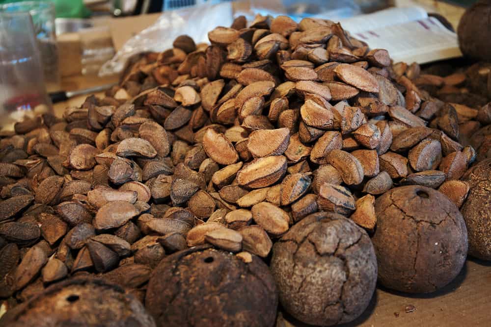 How Long Do Brazil Nuts Last