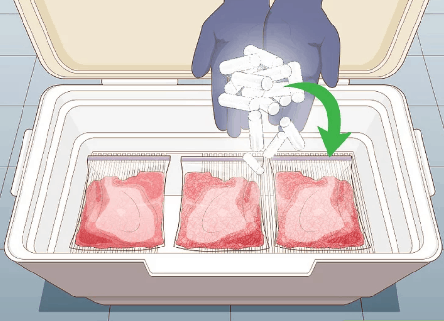 How to Freeze Dry Food