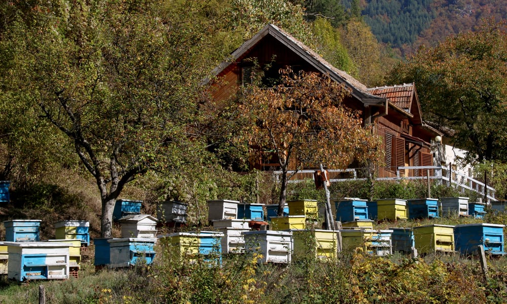 How to Make a DIY Beehive Moisture Board