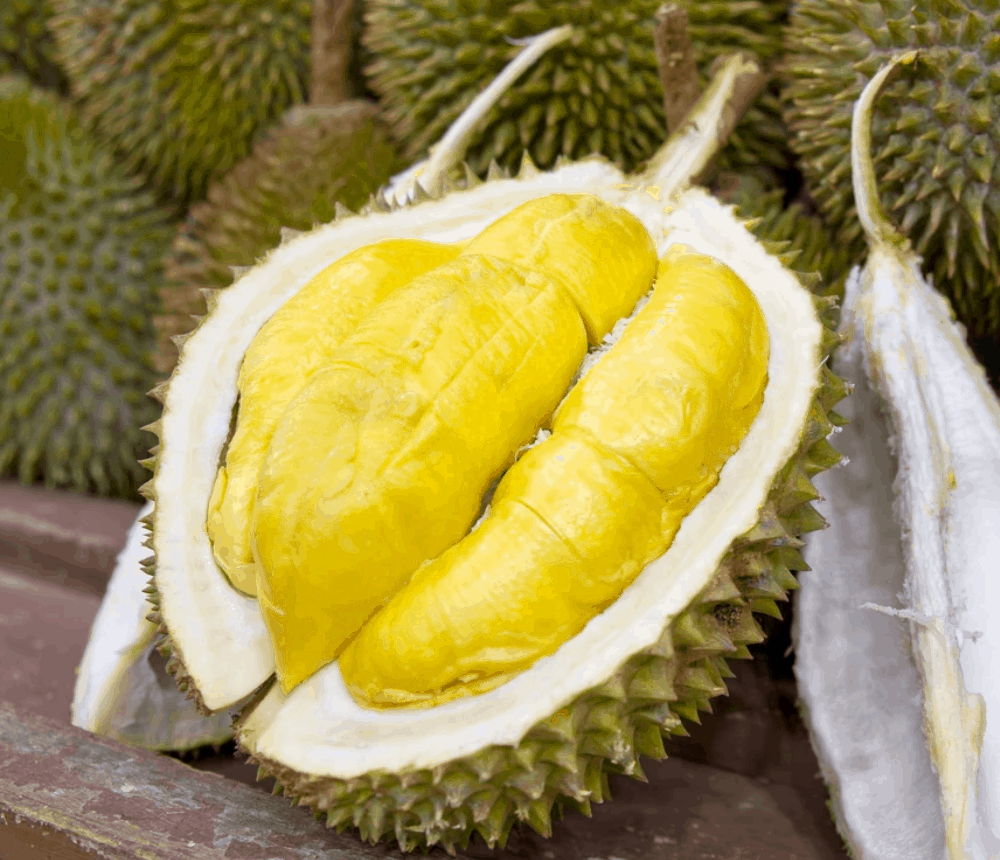 Singapore Street Food Tropical Fruit