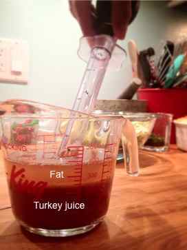 Use a Turkey Baster to Separate the Pan Drippings from the Fat