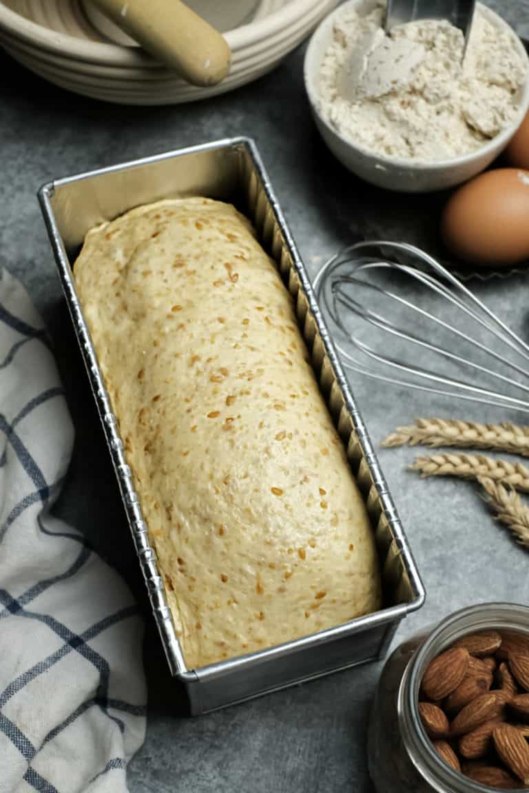 19 Easy Homemade Proofing Box Plans