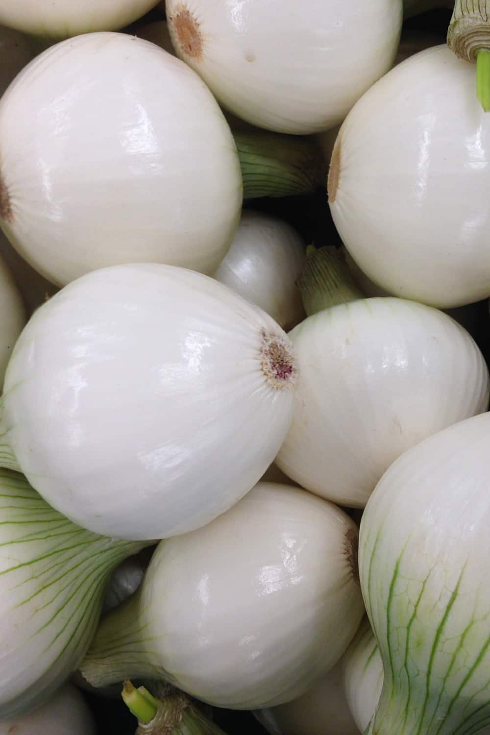 4 Tips To Tell If Onion Has Gone Bad