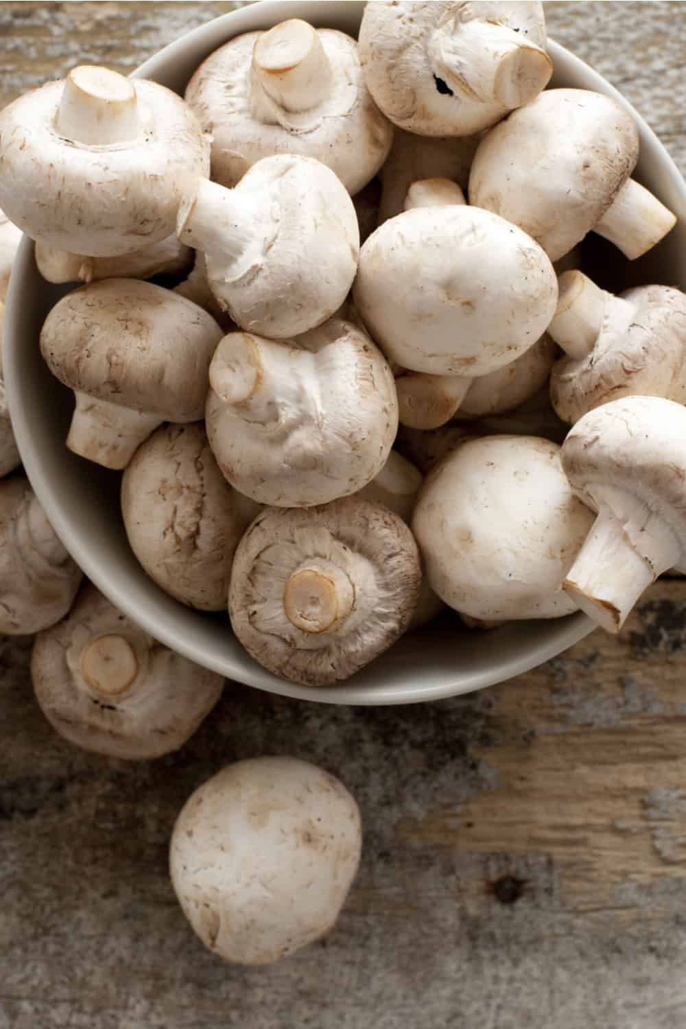 Do Mushrooms Go Bad? How Long Does It Last?