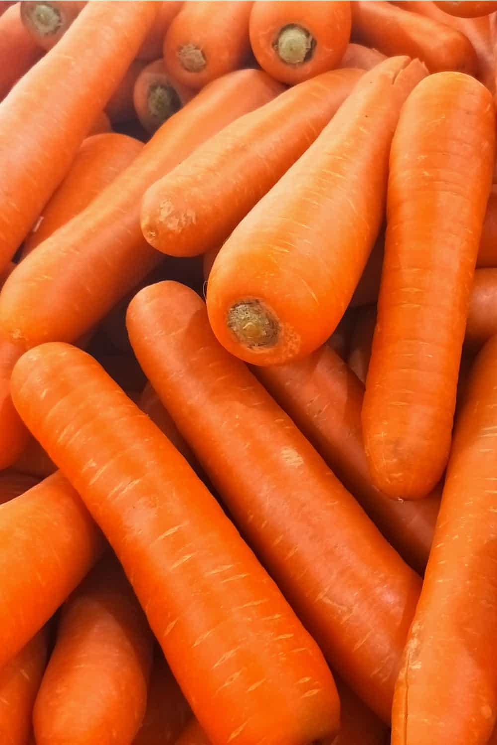 Can You Freeze Carrots