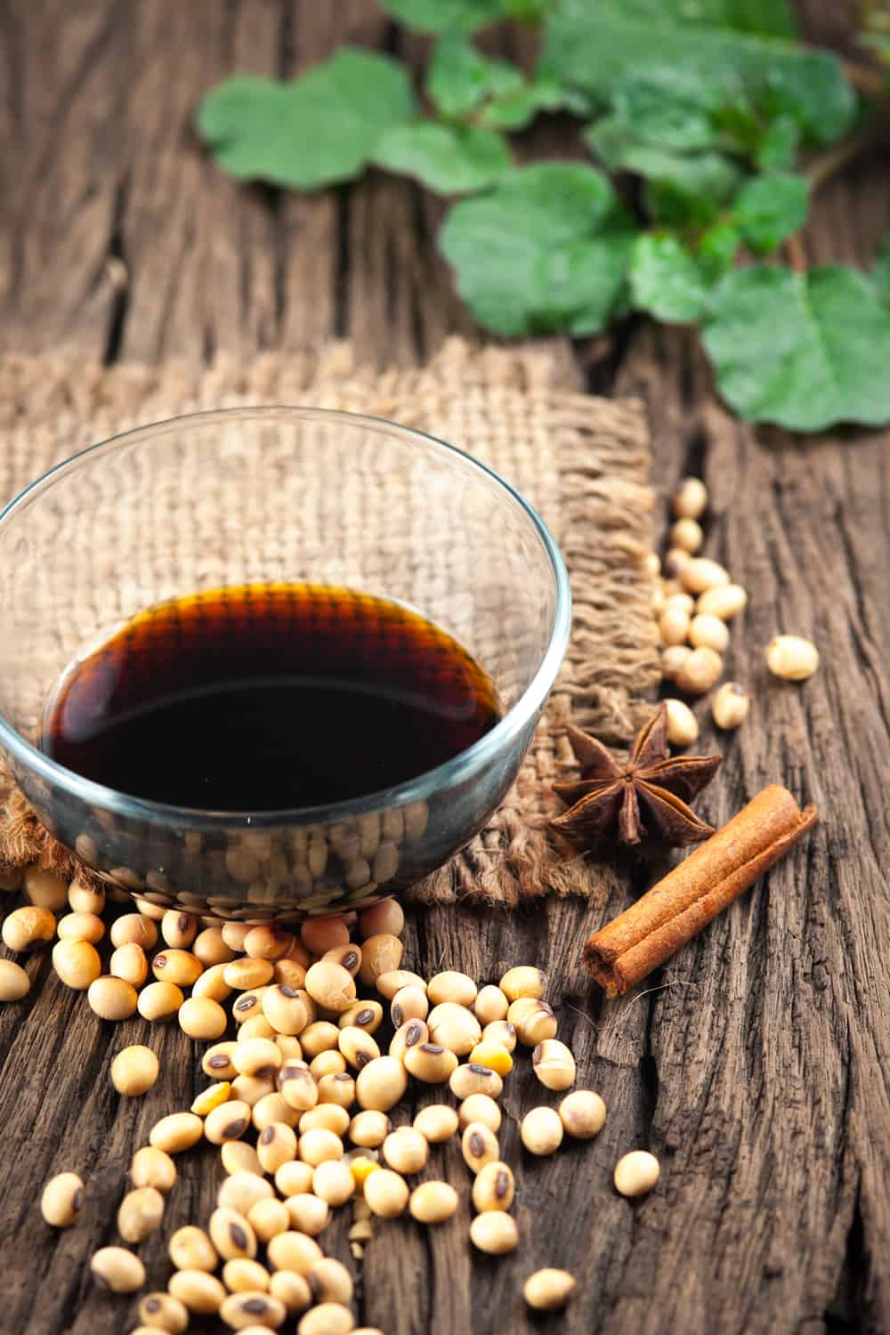 Can you freeze Soy Sauce