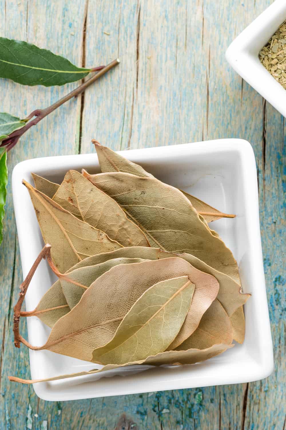 Do Bay Leaves Go Bad How Long Does It Last