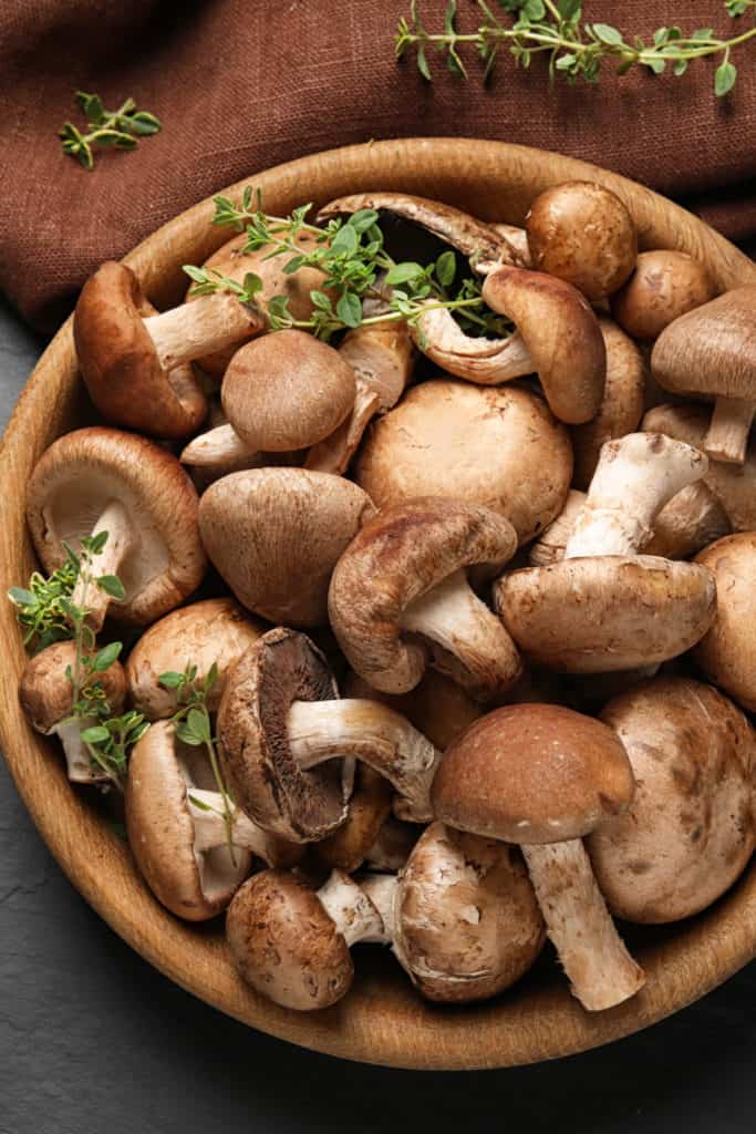 Do Mushrooms Go Bad? How Long Does It Last?