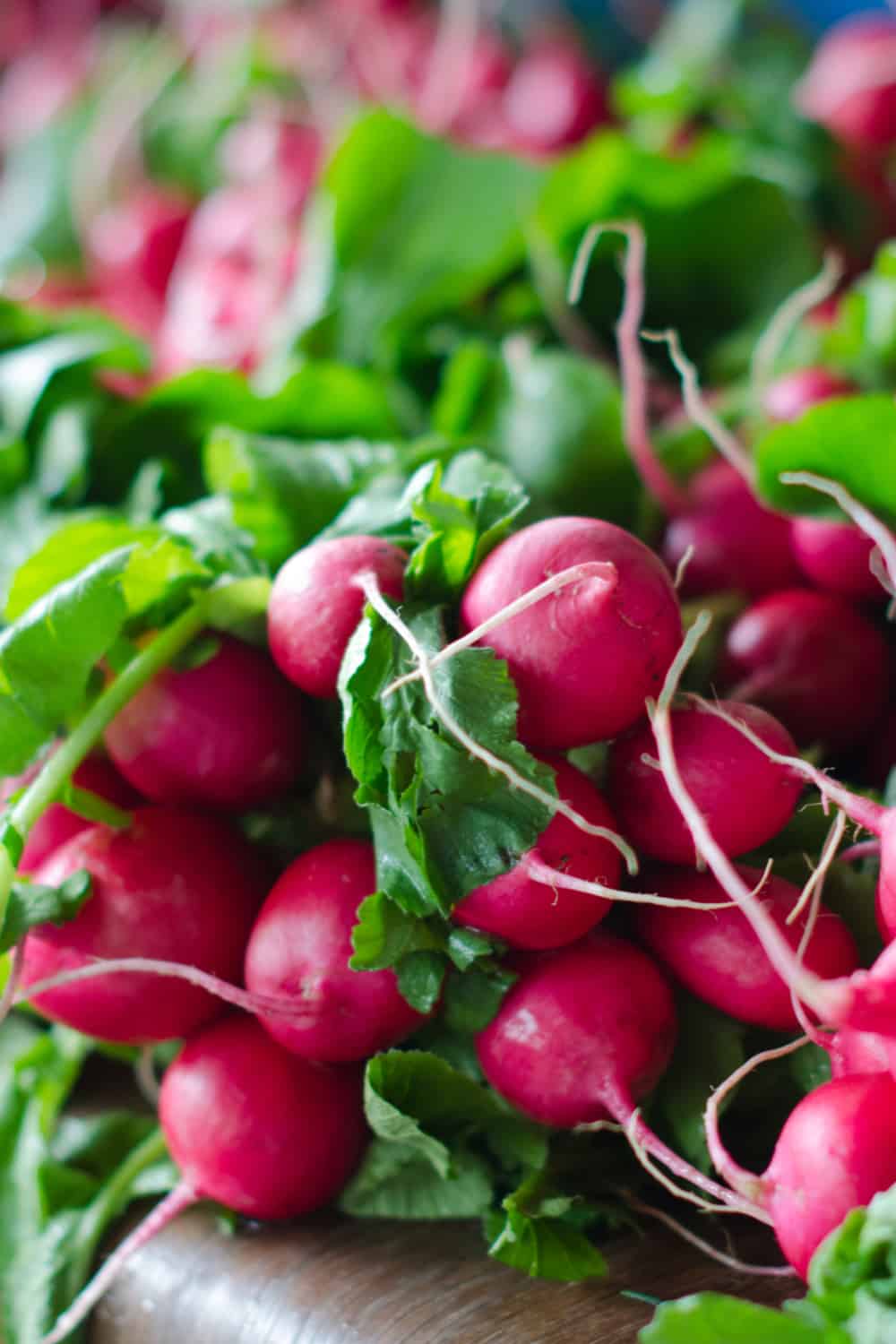 Do Radishes Go Bad