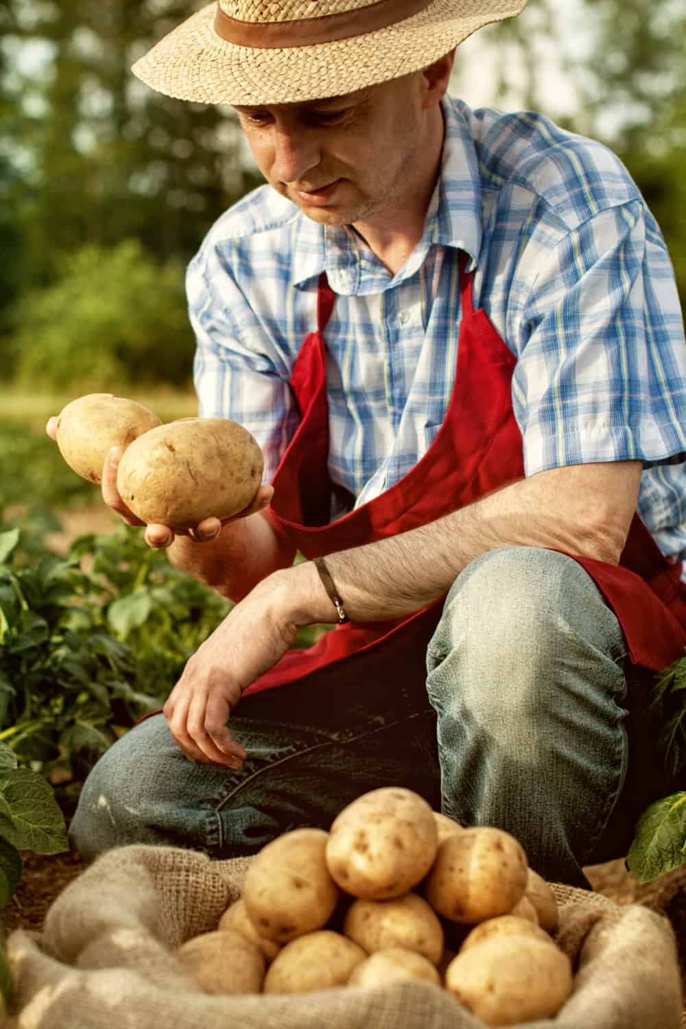 How Long Do Potatoes Last