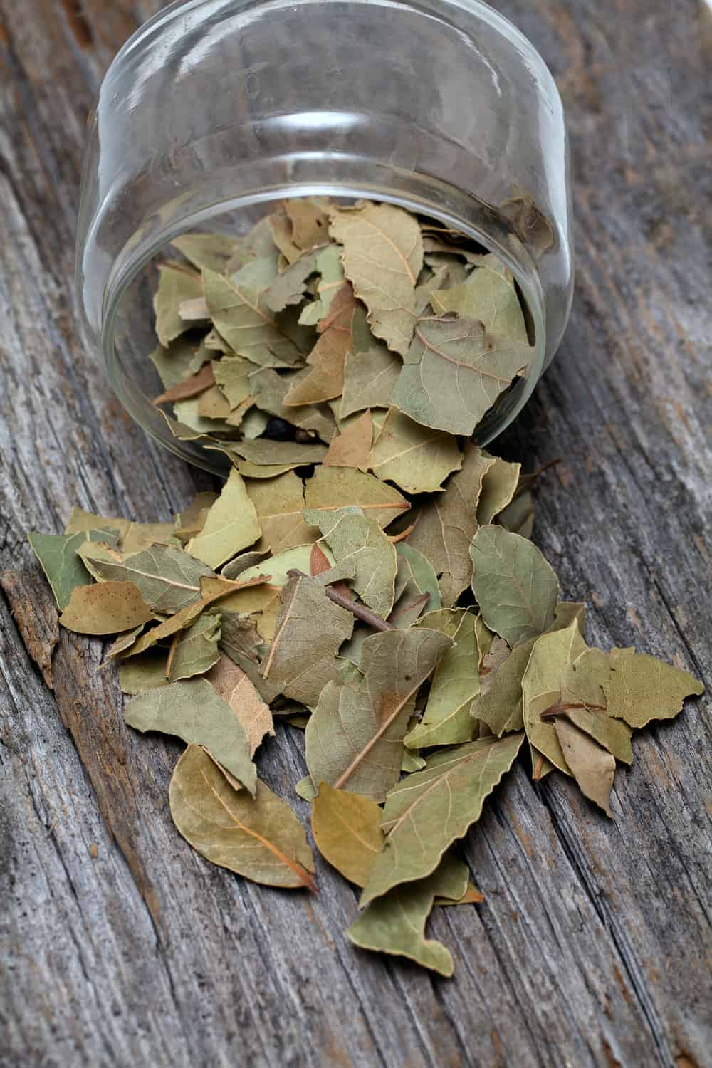 How long Do Bay Leaves Last