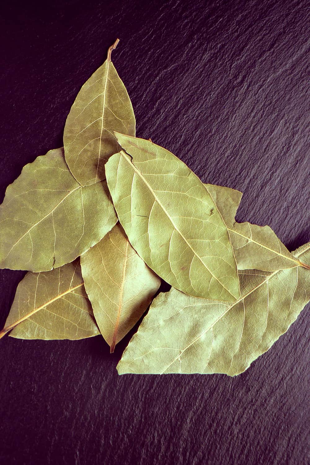 How to Tell If Bay Leaves Have Gone Bad