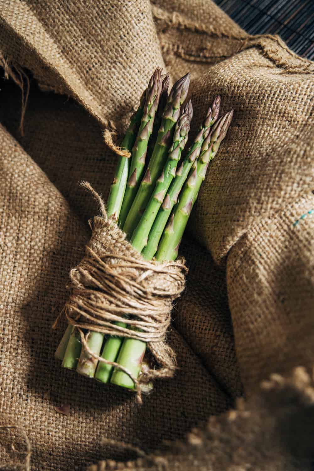 How to Tell if Asparagus has Gone Bad