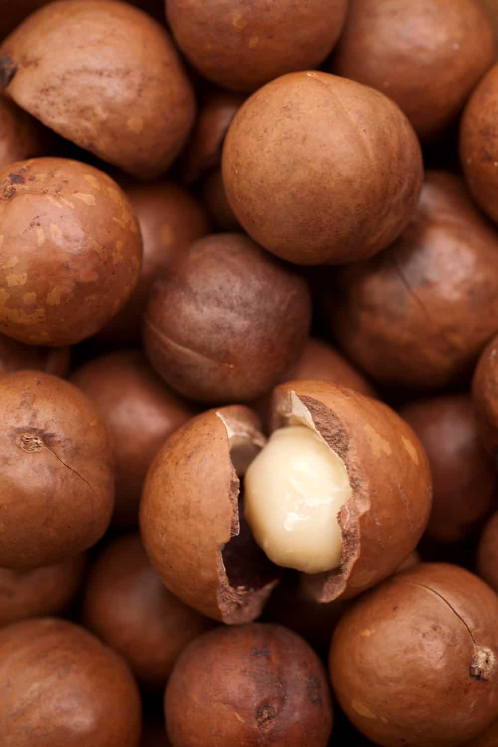 The Risk of Consuming Expired Macadamia Nuts