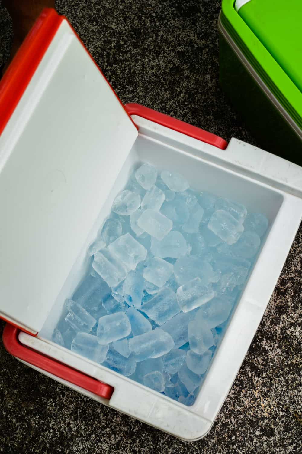 19 Easy Homemade Chest Cooler Plans