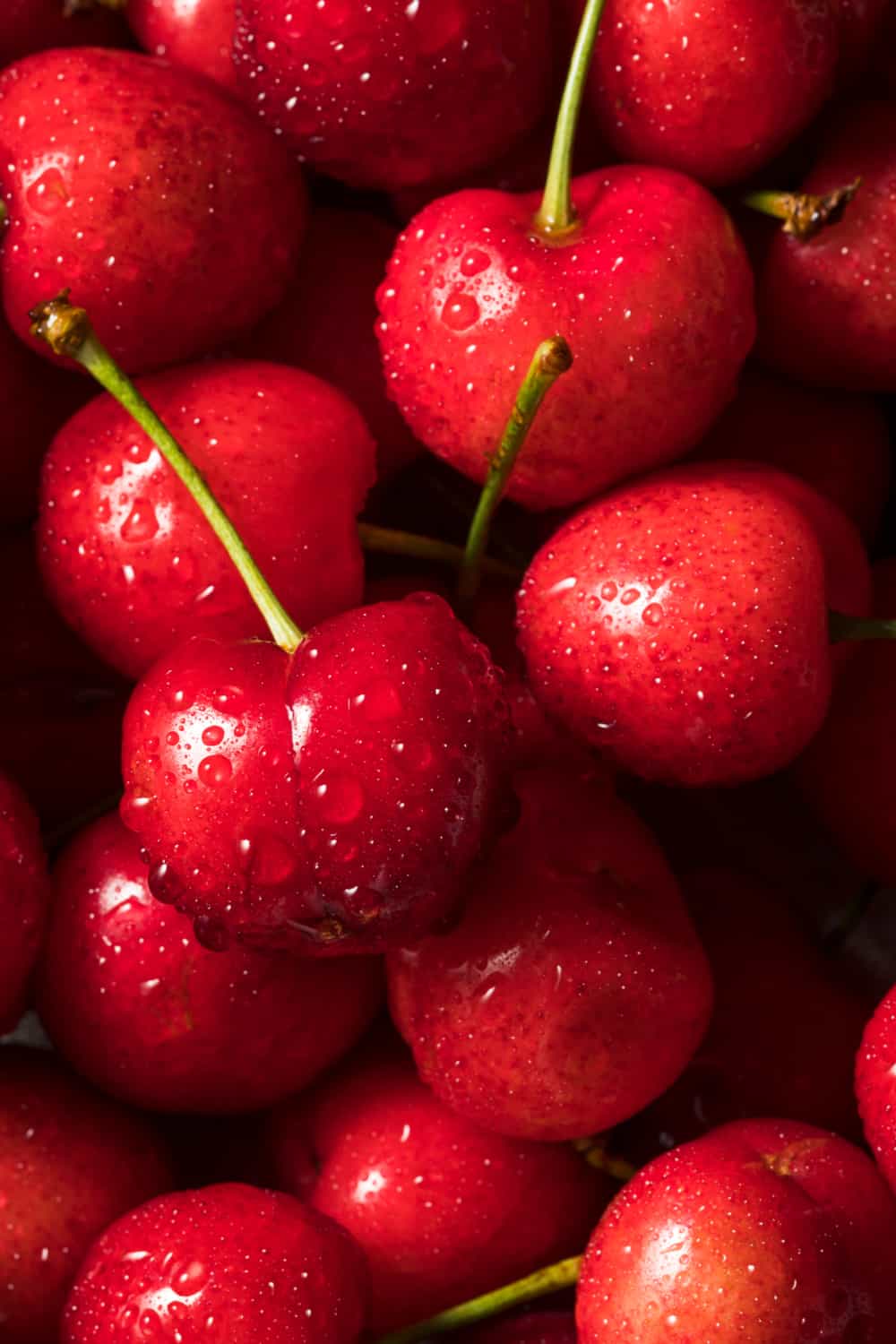 How long do cherries last