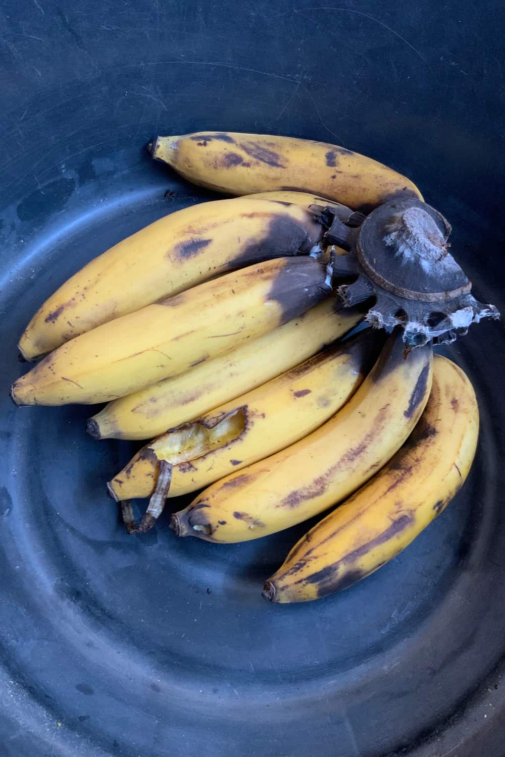 3 Tips to Tell If Banana Has Gone Bad