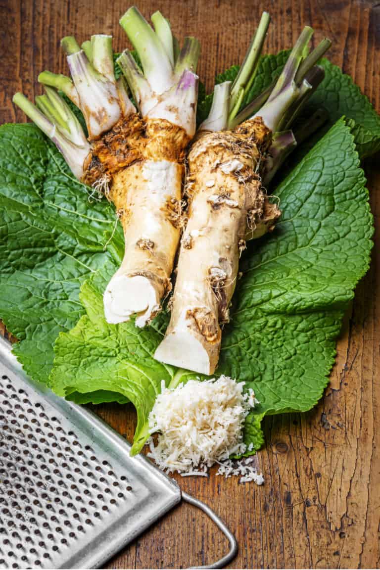 Does Horseradish Go Bad? How Long Does It Last?