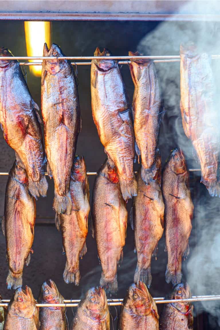 Does Smoked Salmon Go Bad？How Long Does It Last?