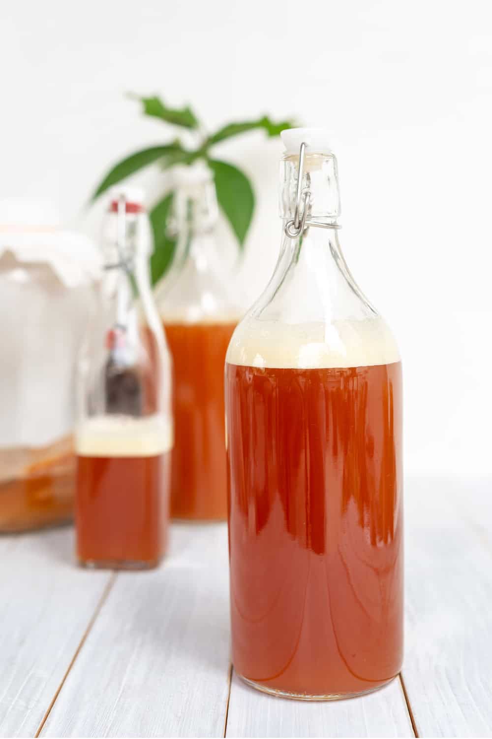 Tips to Store Kombucha