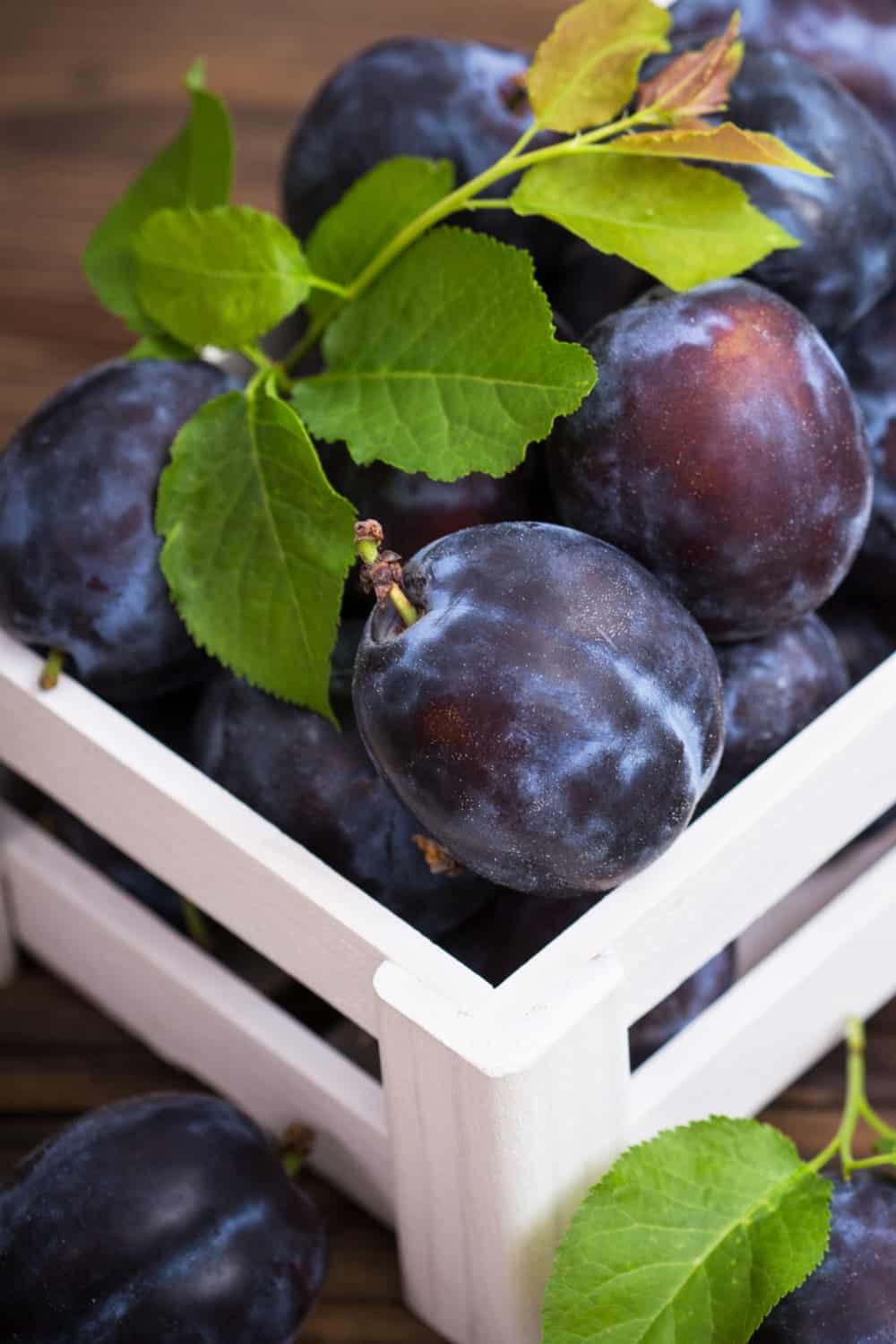 Do Plums Go Bad？How Long Does It Last?