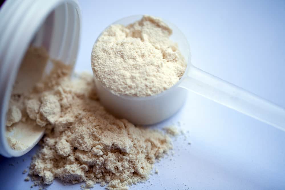 Does Protein Powder Go Bad