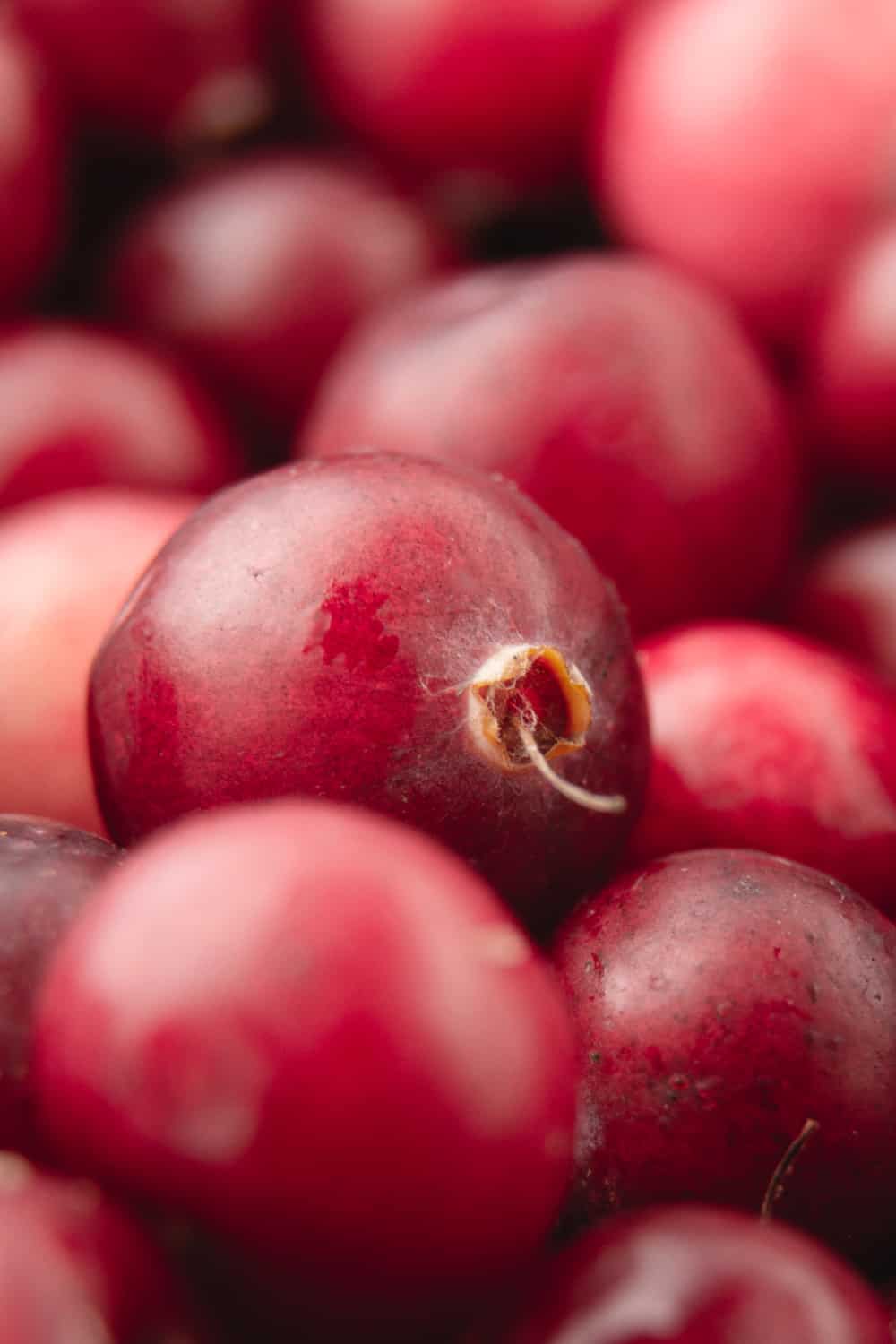 Tips to Tell if Cranberries Have Gone Bad