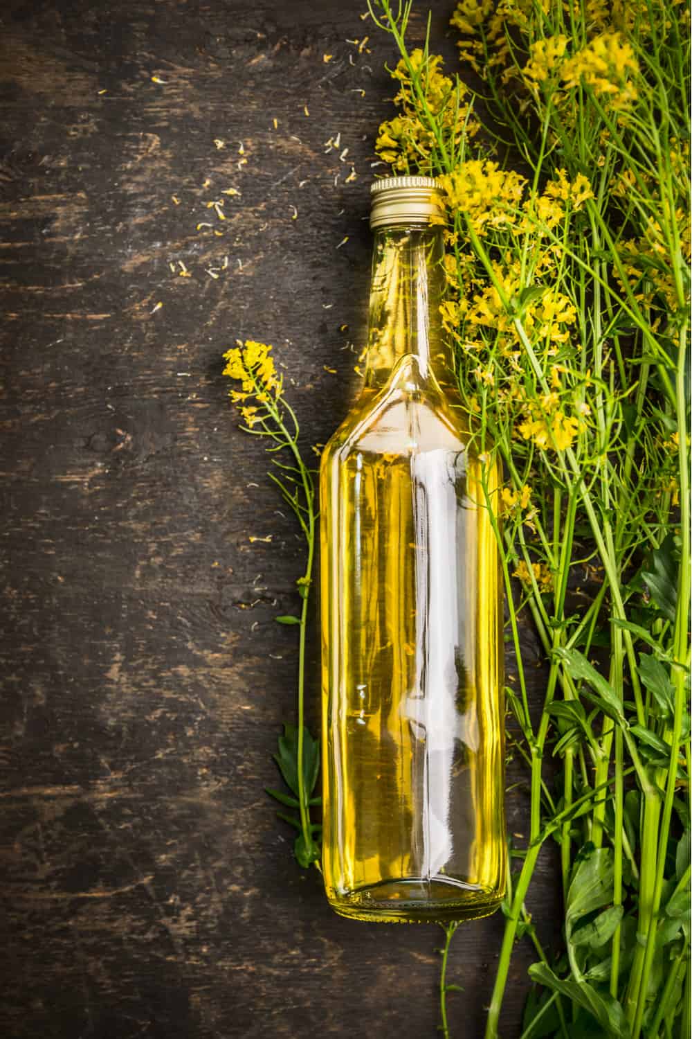 How to Tell if Canola Oil has Gone Bad