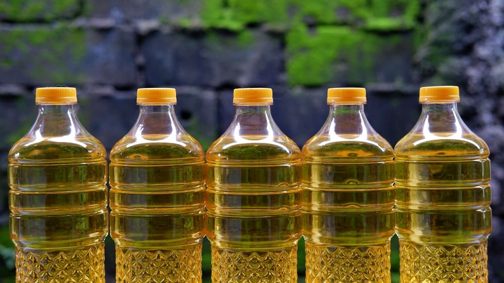 Can You Freeze Olive Oil?