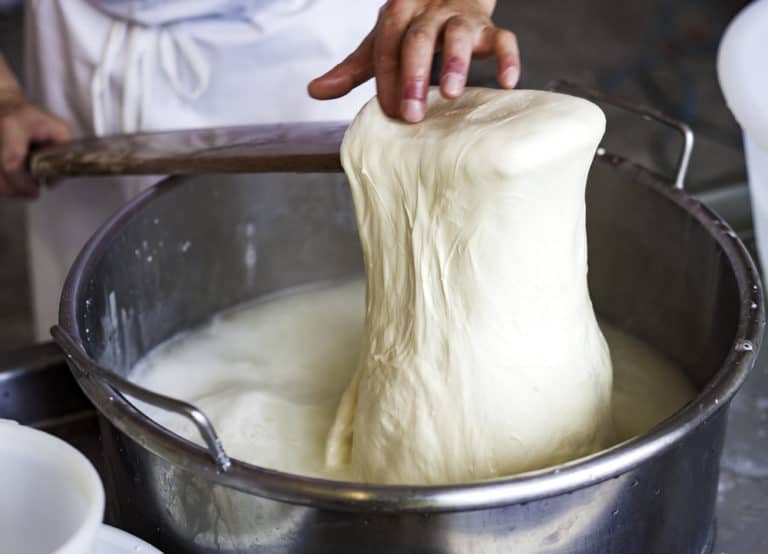 Does Mozzarella Cheese Go Bad? How Long Does It Last?
