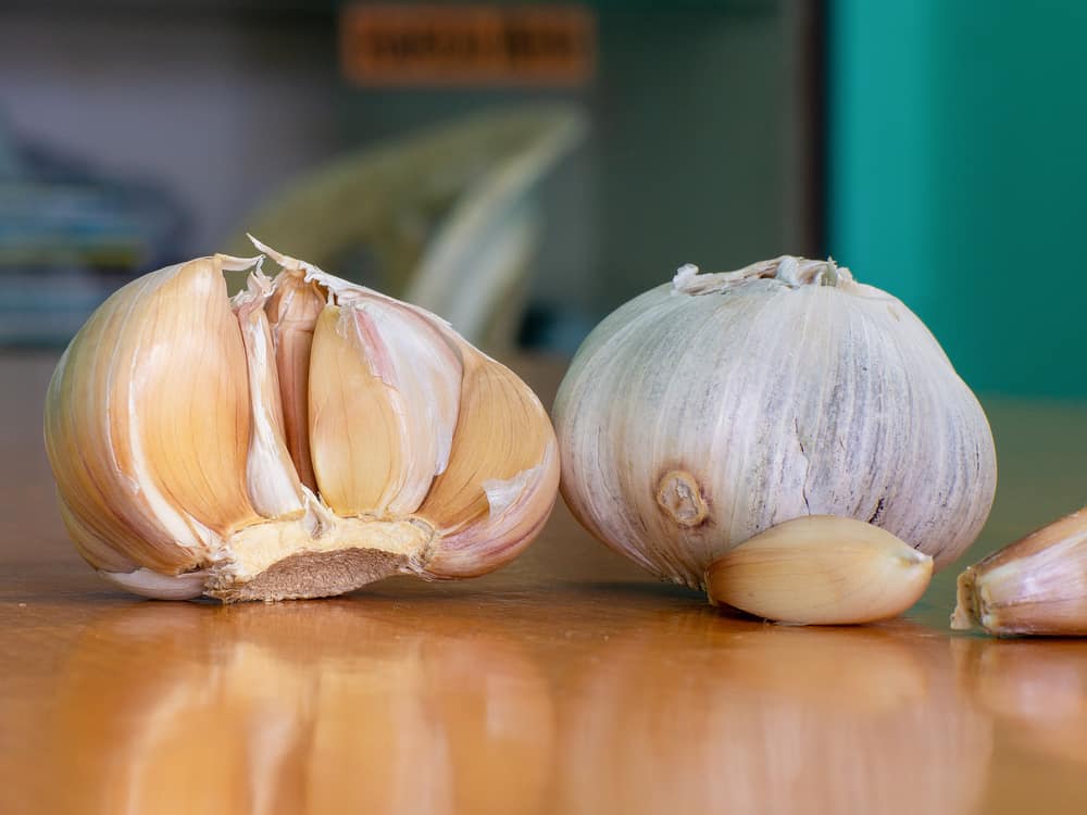 Tell if Garlic Has Gone Bad