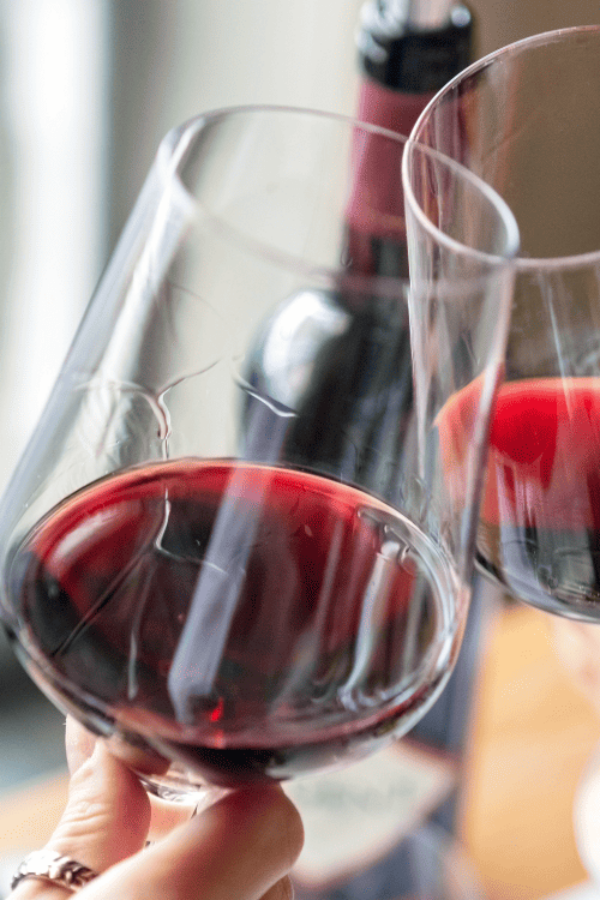 Exploring the world of wine: a delicious journey for all the senses